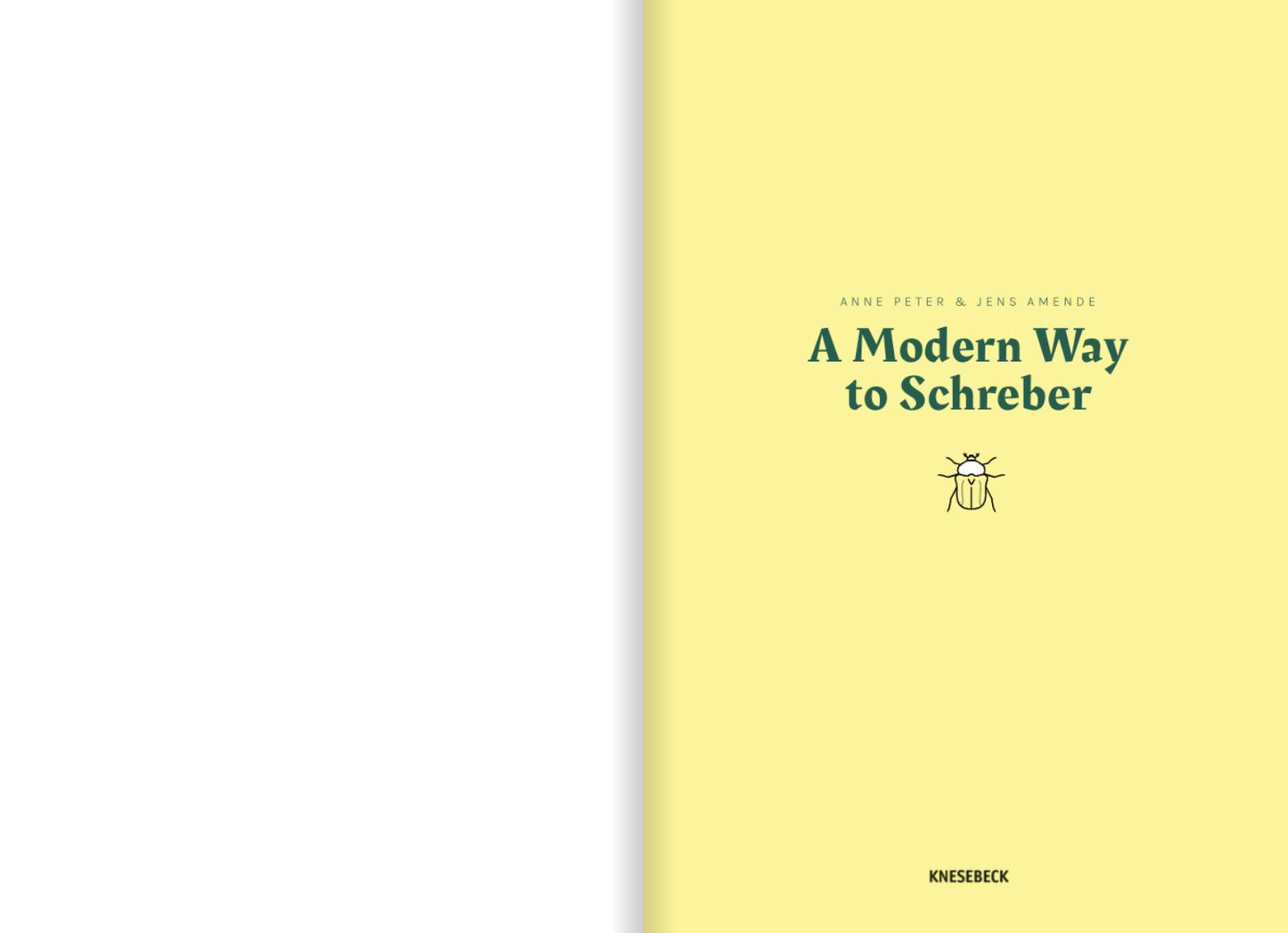 Buch A Modern Way to Schreber
